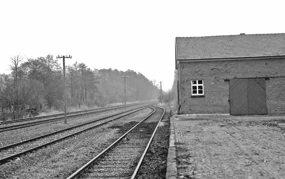 Schwarzweißaufnahme der Gleise am Bahnhof Nortrup mit dem Güterschuppen.