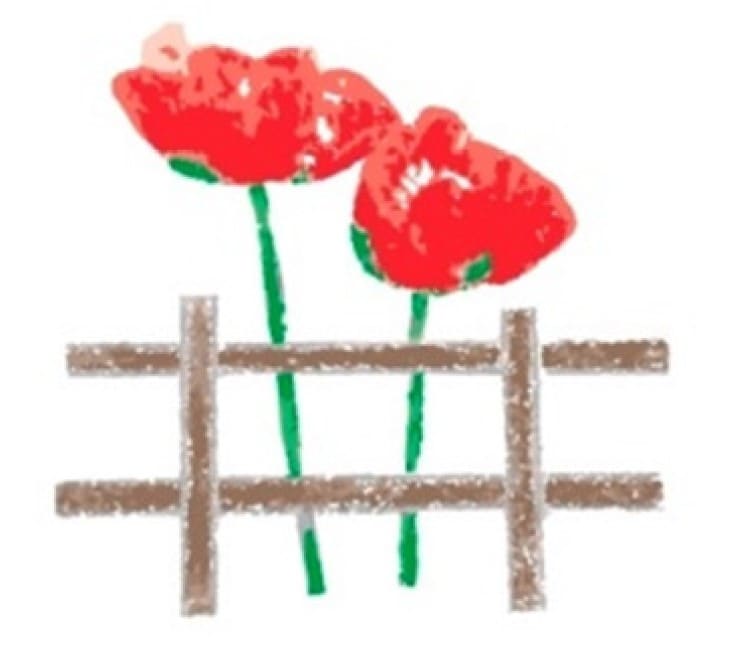 Gezeichnete rote Mohnblumen an einem Holzzaun.